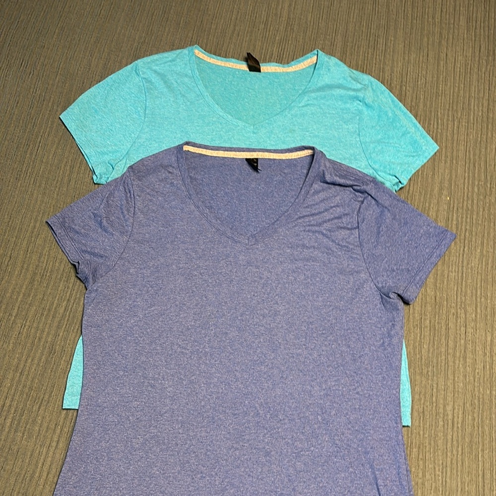 Hanes X Temp Tee Bundle of Two L